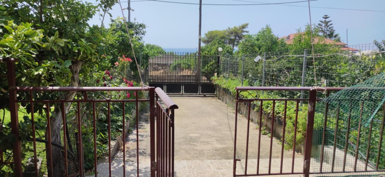 Rontaki Farm Apartment คิปปาริสเซีย ภายนอก รูปภาพ